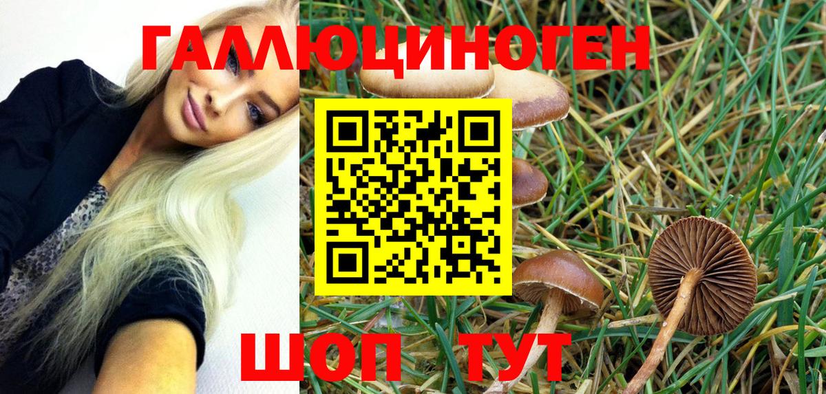 Псилоцибиновые грибы Psilocybe  Псилоцибиновые грибы Cubensis  Вход с VPN  где купить наркотик  Кирово-Чепецк 