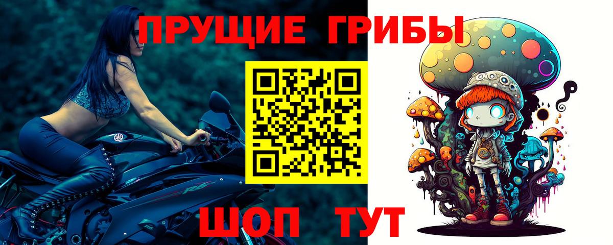 Галлюциногенные грибы Cubensis Кирово-Чепецк
